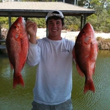 wesbentley050's profile picture. This is my backup account.