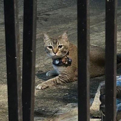 xu_xi55615's profile picture. กดฟอล+ส่งรูป=ตอบแชท