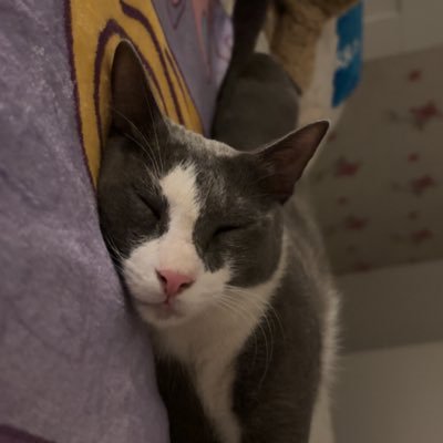 ghazl_fadul's profile picture. Enfj-A