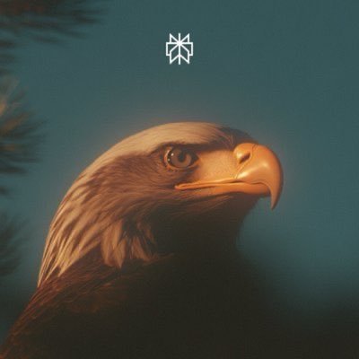 AravSrinivas's profile picture. CEO @perplexity_ai