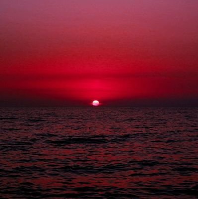 Bastian1642778's profile picture. Batam Island Is The Best Community