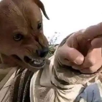 OndokeaB60810's profile picture. 