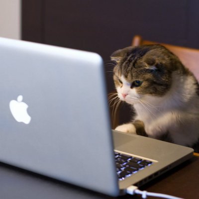 memreyagci's profile picture. dev