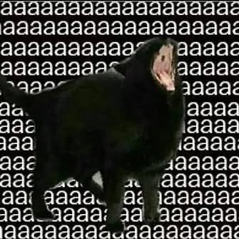 CauanB43486's profile picture. 