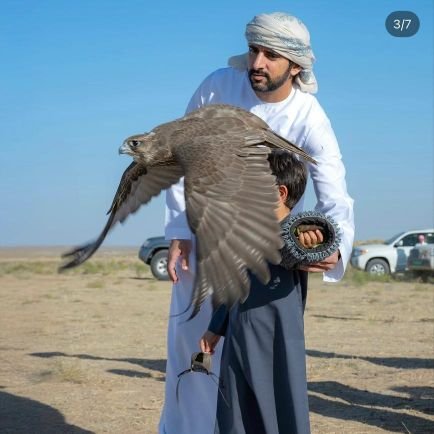 hamdanbinm82347's profile picture. I love creativity