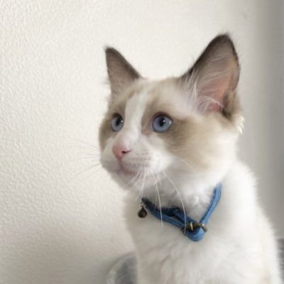 Muthupa005's profile picture. 最高の自分として