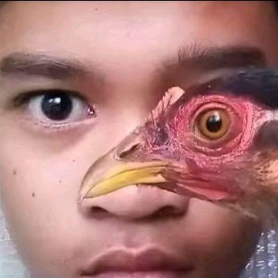 bombolki's profile picture. 