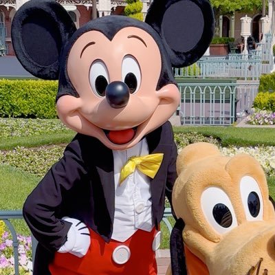 fa_htf's profile picture. 🔰　無言フォロー失礼します😿♡