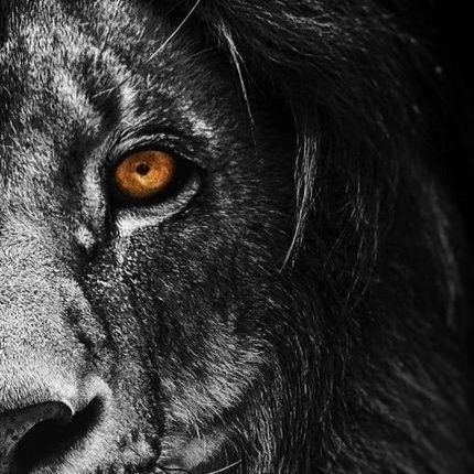 Lfc7Ryan's profile picture. 