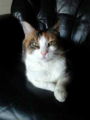 kupern7's profile picture. Theo