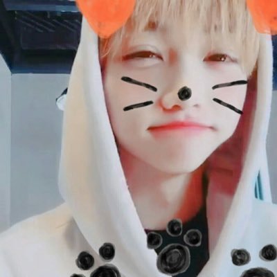 wotagirlll's profile picture. falando sobre stray kids….