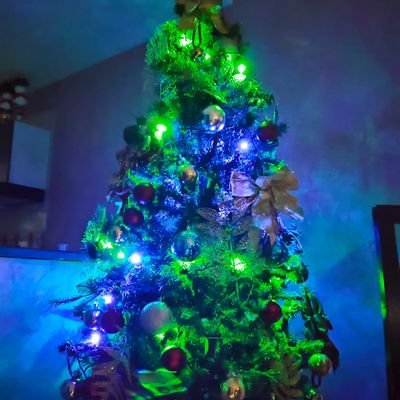 Progresista_78's profile picture. 