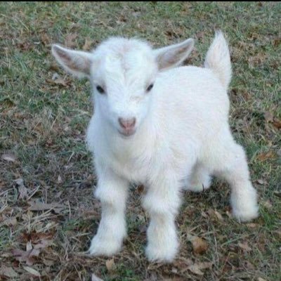 twolove0514's profile picture. 