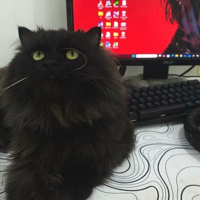 adel_t1d's profile picture. Fashion and Photography enthusiast | Artiest | Designer