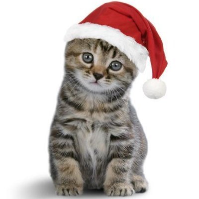 DLCwriter's profile picture. Posting uplifting,funny stuff.Married 2 a Marine&cat mom 2 Molly&Tommy&15 feral cats&their babies.Let's laugh some already! https://t.co/FV63rUqIF1