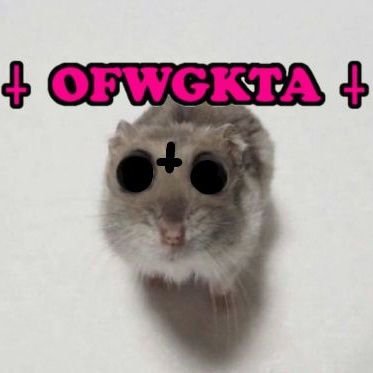 bauti is retarded af Profile