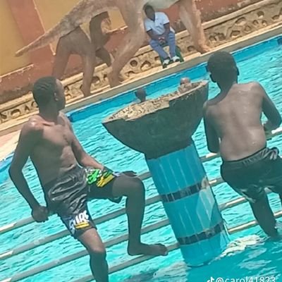 havirear54583's profile picture. 