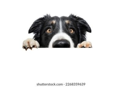 woofwoofpromo's profile picture. Who let the word out.