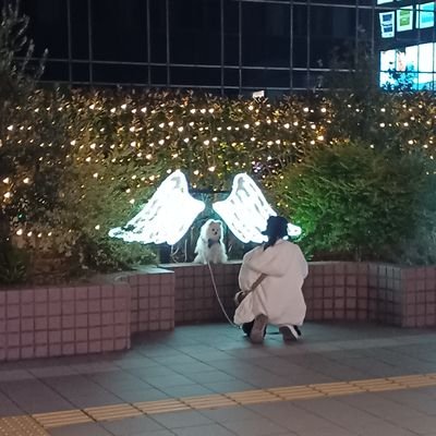 TeethHens's profile picture. 鍋パです