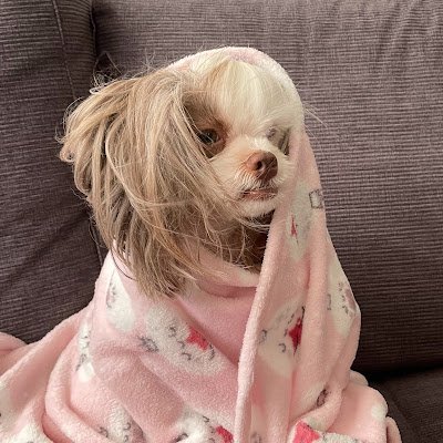 Mattiuzzo_'s profile picture. 