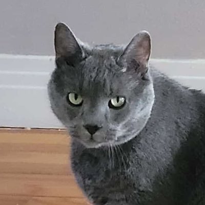 jf_flyn's profile picture. 🖥️