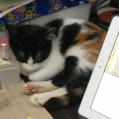 rkila_'s profile picture. 