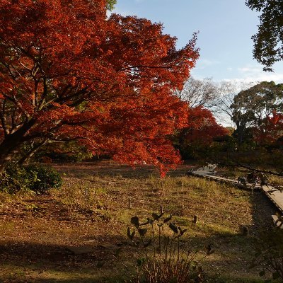 Hi_Council's profile picture. H.I.Council — Quantum error mitigation (Aurora-DD) + Quantum-Inspired AI / Deductive RAG. Building reproducible QC/AI systems in Tokyo.