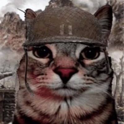 SARMSBubbly's profile picture. 