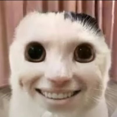 gto1orange's profile picture. 