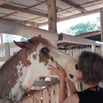 LossoGisla66098's profile picture. ANISTIA JÁ ! Bolsonarista com orgulho !!!! Eleição sem Bolsonaro é golpe !!! Homem honrado, infelizmente sempre traído, família Bolsonaro tem meu apoio 👊🏻🇧🇷