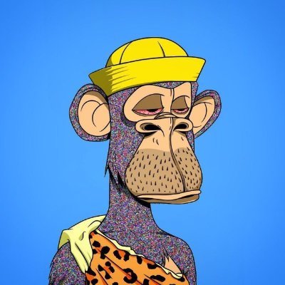 CripuSS's profile picture. web3 surfer