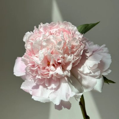 ddsizzz's profile picture. 旅の途中で見つけた景色と、
ゆるく続ける投資の記録を🌿