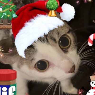 Fortnitemew's profile picture. Mr Bowtie man 🎀 MOST LEGENDARY MELM