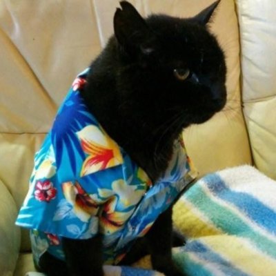 ultima_centauri's profile picture. 