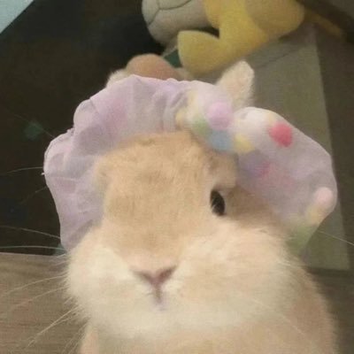 masss3388's profile picture. 