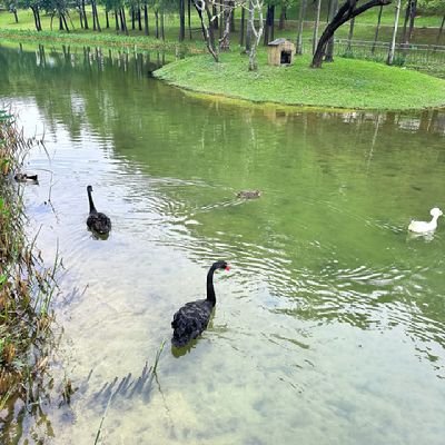 huazheng25812's profile picture. We look forward to exploring more business collaboration opportunities and welcome your inquiries!
📧：Sales14@huazhengcnc.com