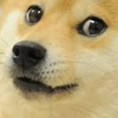 snower00000's profile picture. hi
I LOVE U TOO @WafflePants64