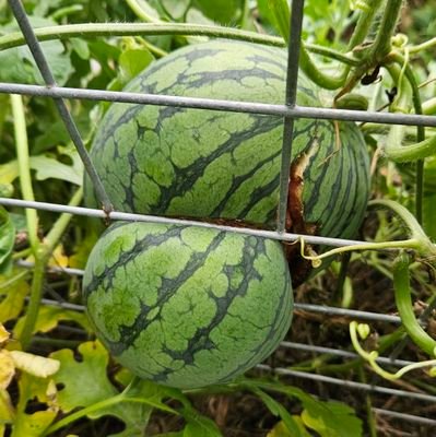 yun_yeong28441's profile picture. 