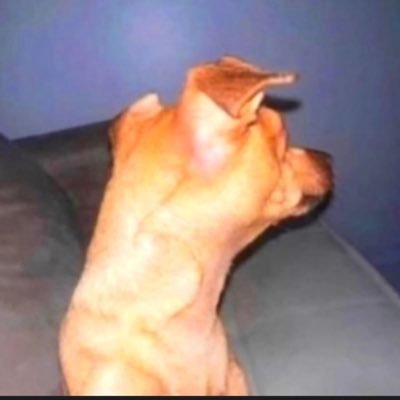 QDawgieP's profile picture. Real ass nigga mixed with a bowl of RICE ☆ 29 years young