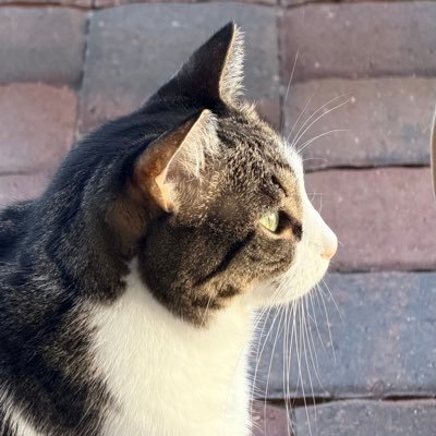 SasnettShe97333's profile picture. 