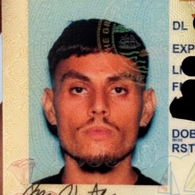 gerrarrdo00's profile picture. 