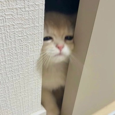 Jingggxd's profile picture. Professional VALORANT player for @pprxteam
@yukiaim

Contact: Jinggg@prodigy-agency.gg

https://t.co/5dtips5Q7I
https://t.co/3PodGFKIMV