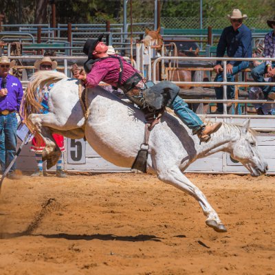 SteveMc18996095's profile picture. Living in Australia since 1986-loving it. Interests : everything.
100% support for Israeli.