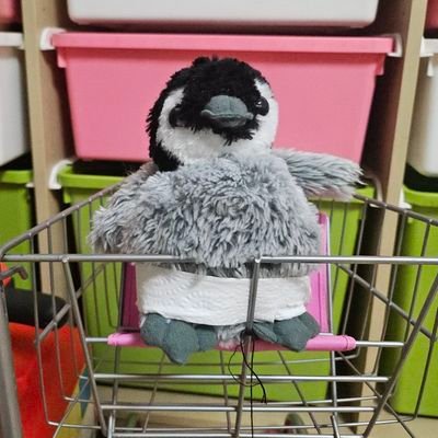 Very_jyuA_likE's profile picture. 사이퍼즈-작고소중한땅땅이/최애.소고,테시마,키리코,시바,노조미,헤라/
컾링.케니시바, 사스사쿠,소고토마