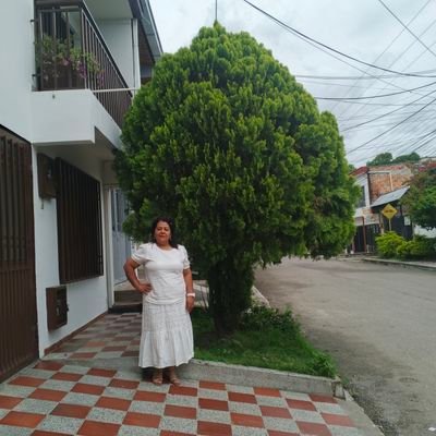 Roj4285Rojas's profile picture. Creador Digital