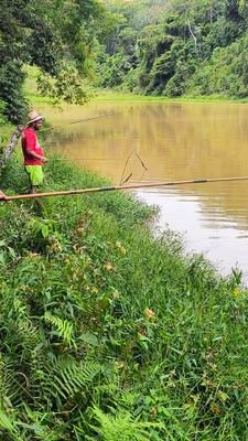 geraldonet3772's profile picture. 