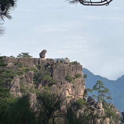 yngyng66574042's profile picture. 有态度！