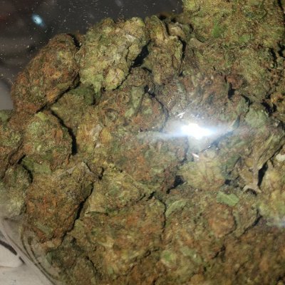 JoseYahirS59267's profile picture. Producción y distribución de cannabis en San juan del rio y alrededores
Con un poco de mi vida y de humor propio!