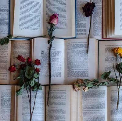 Vervanvil's profile picture. Entre la ironía y la memoria, entre el enojo y la risa. Lo importante no siempre es solemne.