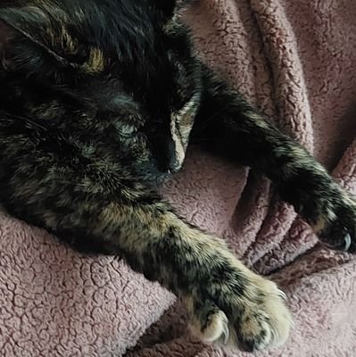 cointelpoo's profile picture. ☭ DeCol ML ☭ |
I call dibs on running the reeducation camps after the revolution | Amerikan labor aristokrat seeking to break down the social relations